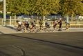 ent_pbm_17_10_12_86.jpg